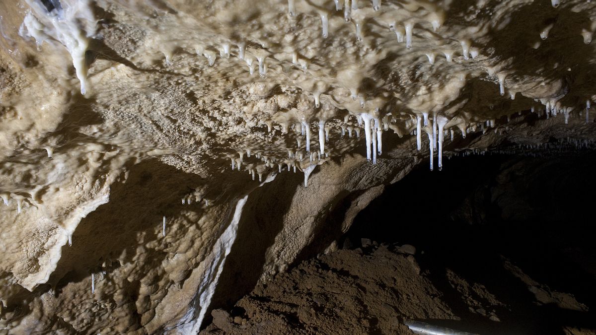 V jeskyni v Moravském krasu zůstal zraněný muž. Hasiči plánují záchrannou akci